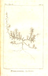 n180_w1150