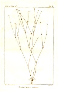 n43_w1150