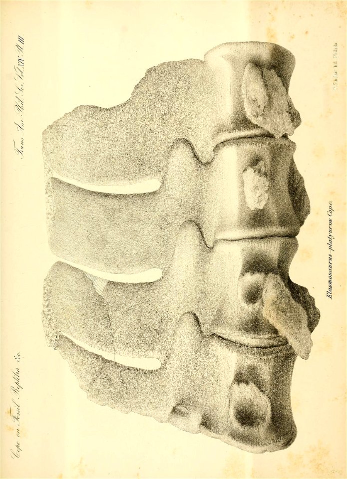 n114_w1150
