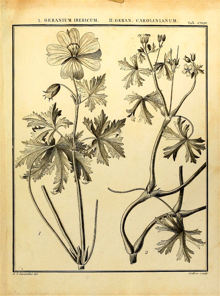 n562_w1150