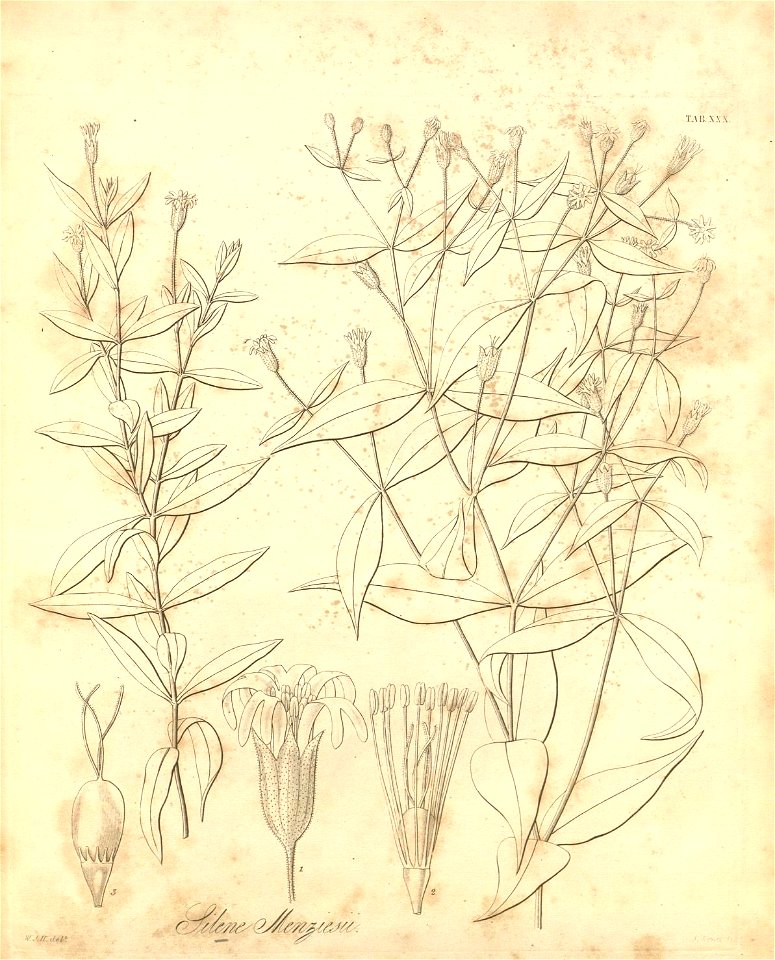 n399_w1150