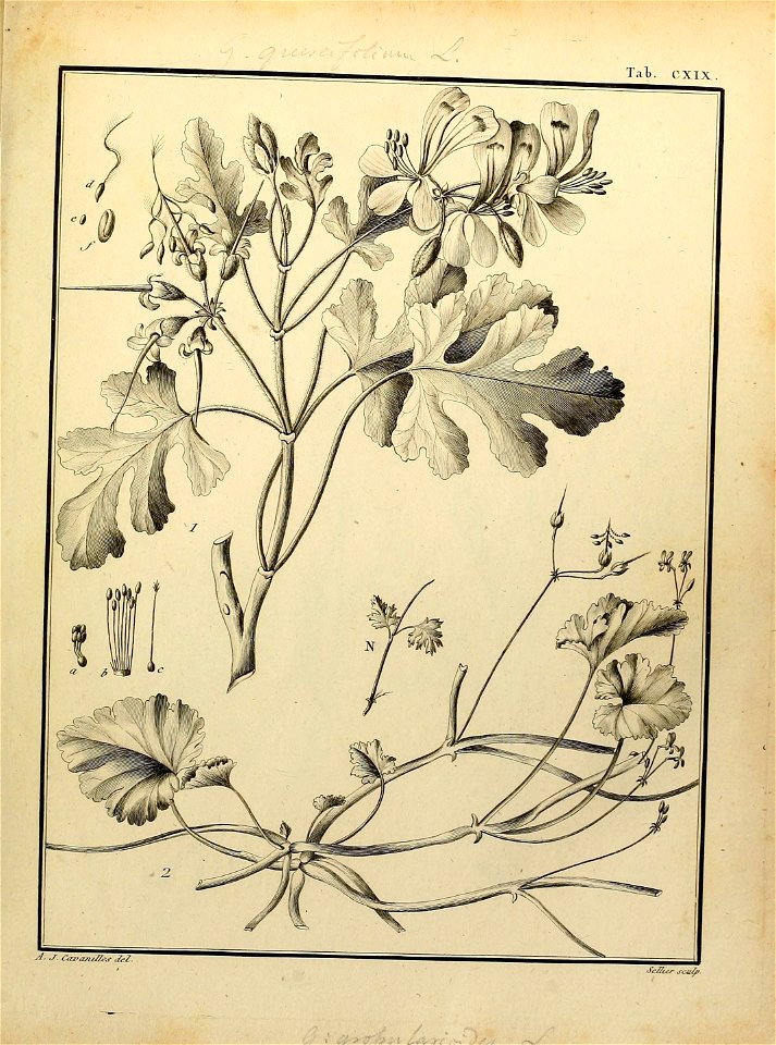 n554_w1150