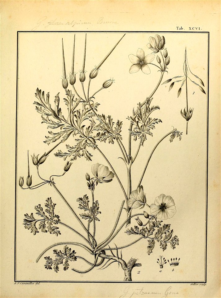 n508_w1150
