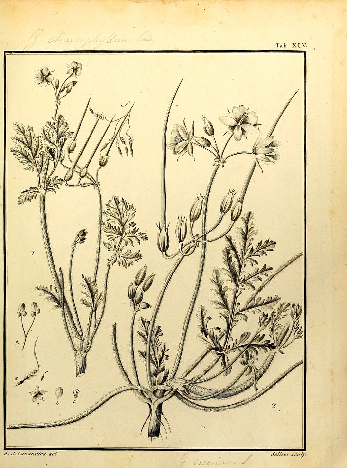 n506_w1150