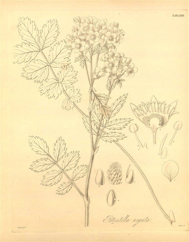 n432_w1150
