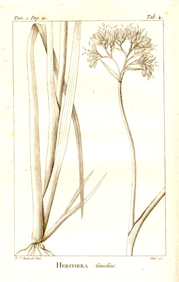 n35_w1150