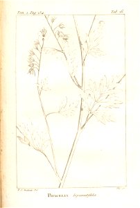 n161_w1150