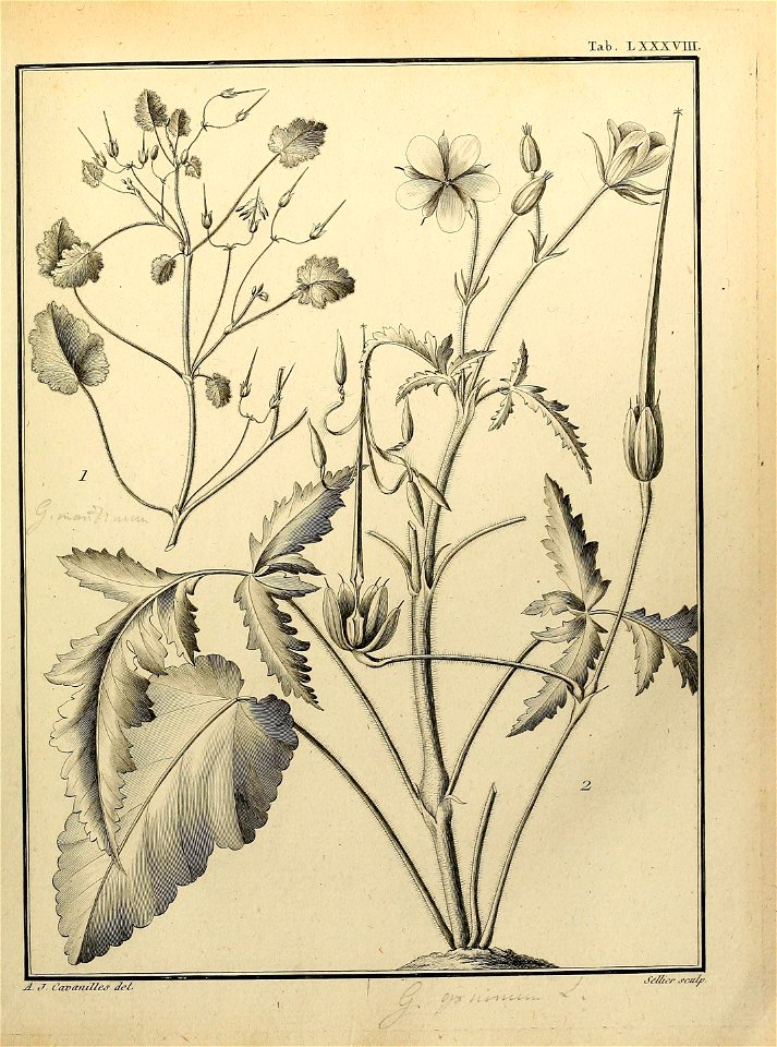 n492_w1150