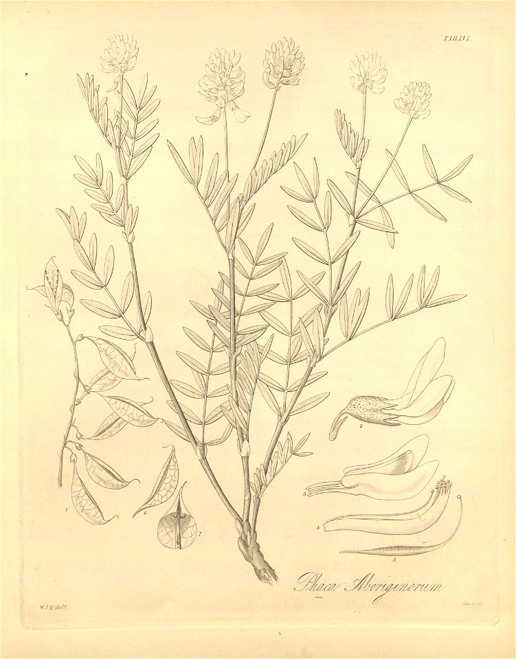 n425_w1150