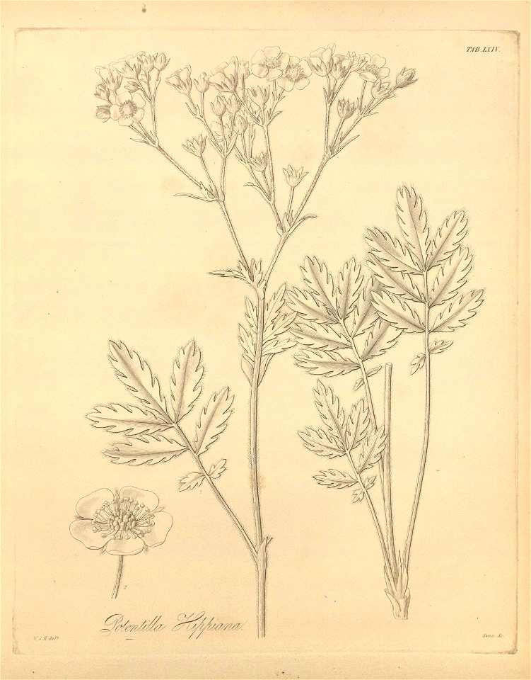 n433_w1150