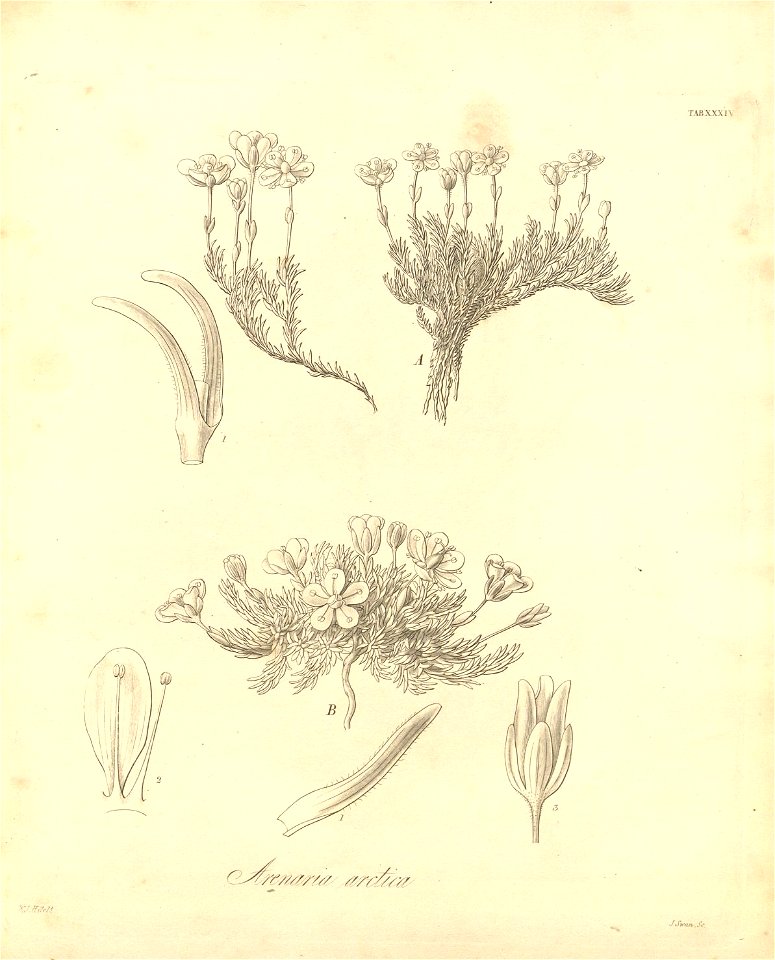 n403_w1150