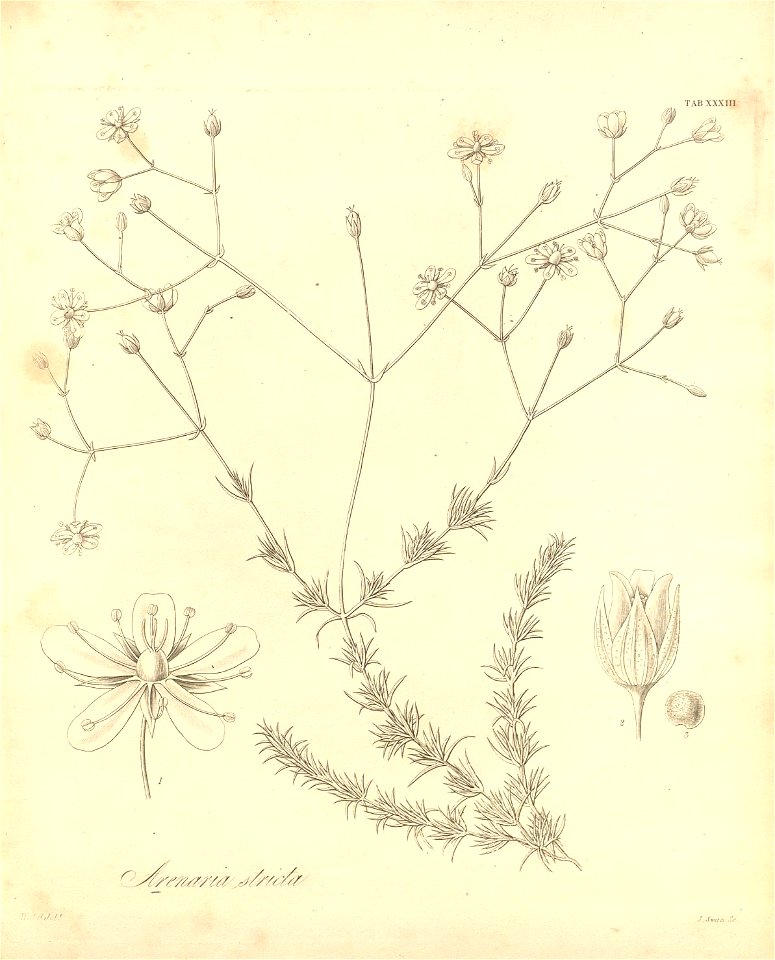 n402_w1150