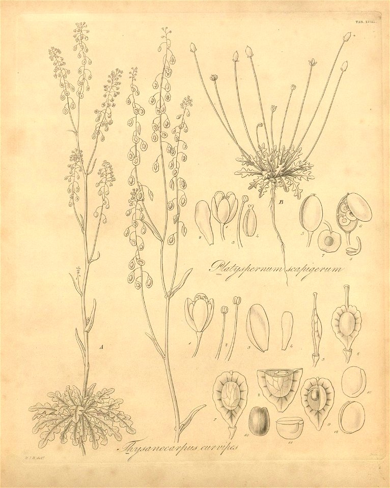 n387_w1150