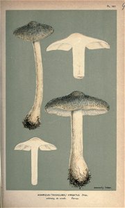 n218_w1150