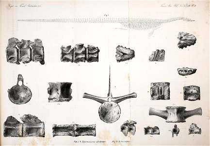 n112_w1150