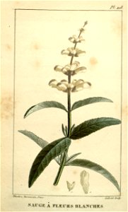n369_w1150