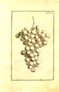 n215_w1150