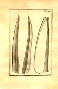 n199_w1150