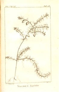n262_w1150