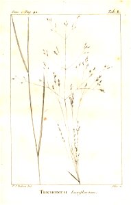 n61_w1150
