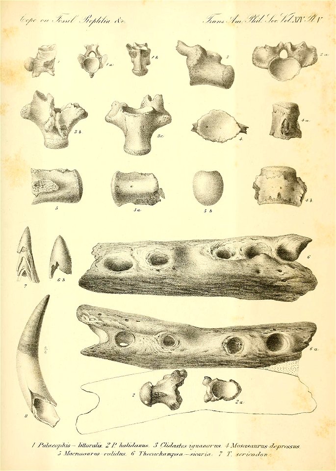 n120_w1150