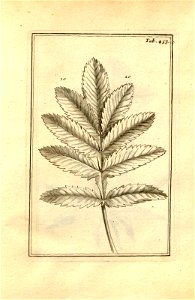 n203_w1150
