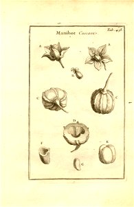 n188_w1150