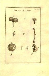 n113_w1150