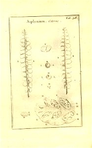 n68_w1150