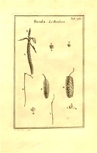n110_w1150