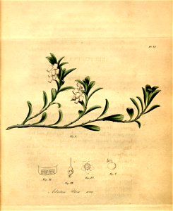 n69_w1150
