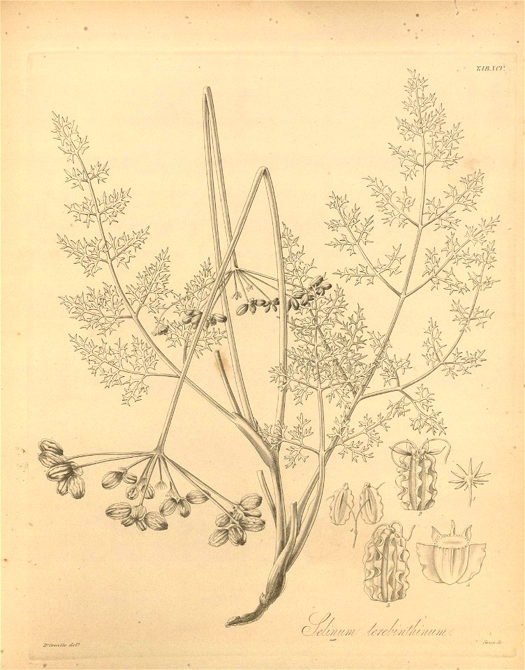 n464_w1150