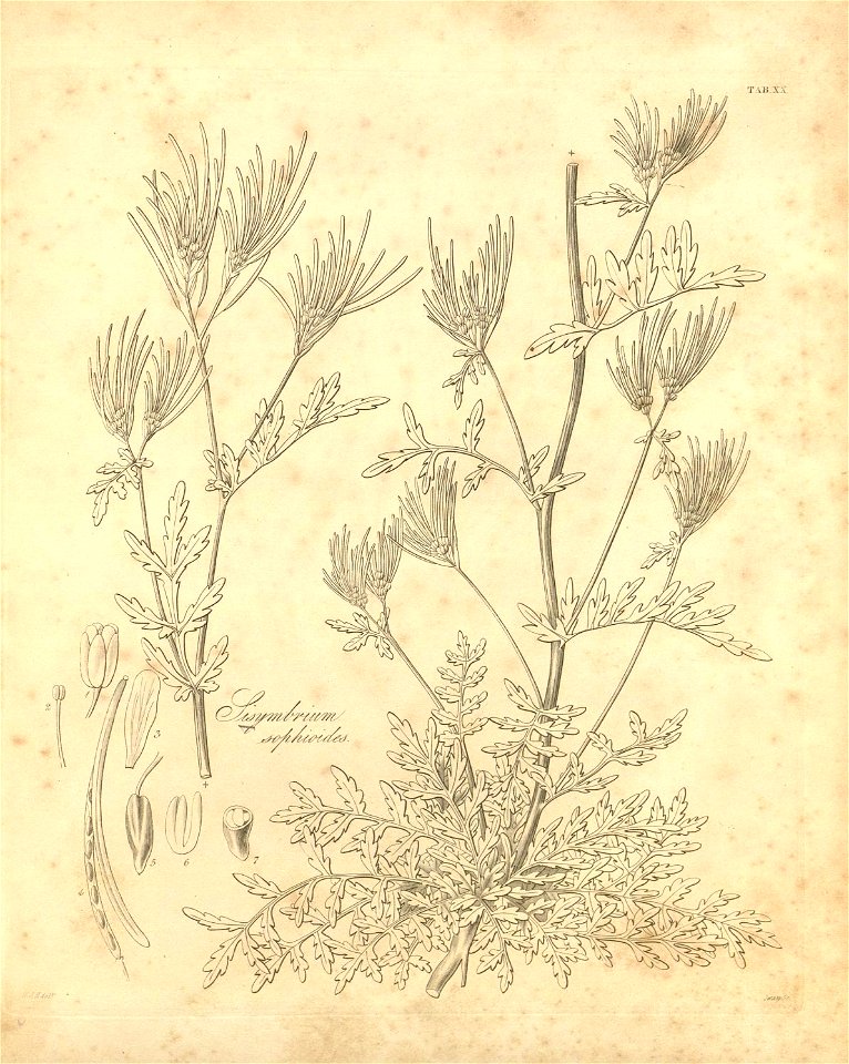 n389_w1150
