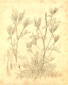 n389_w1150