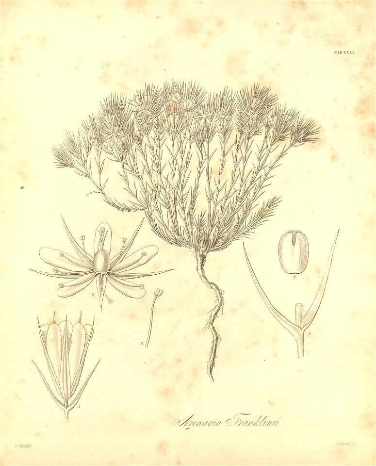 n404_w1150