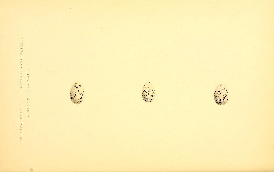 n329_w1150