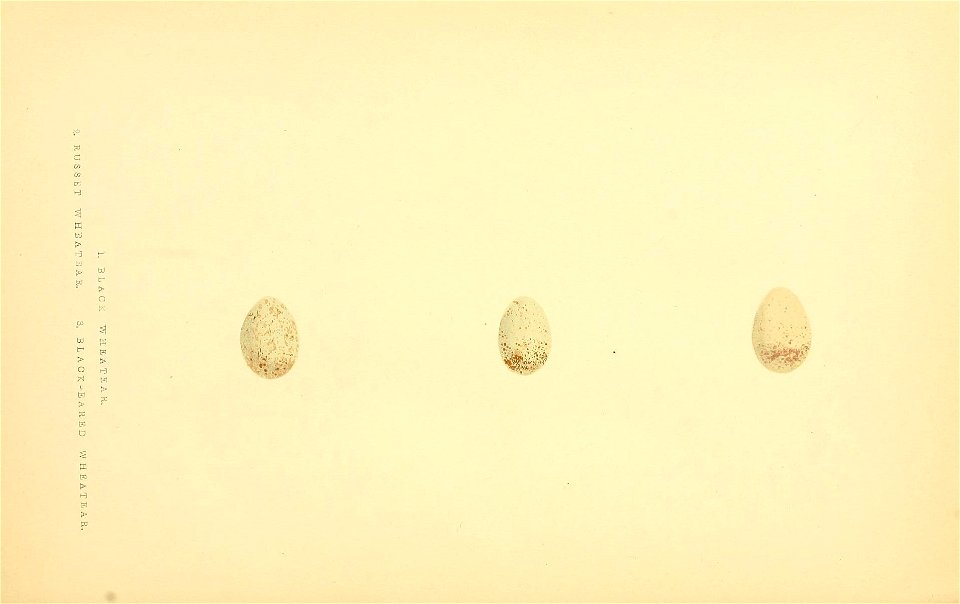 n221_w1150
