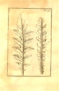 n202_w1150