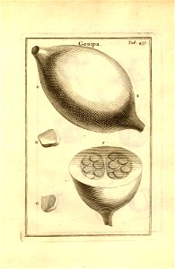 n187_w1150