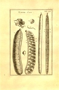 n142_w1150