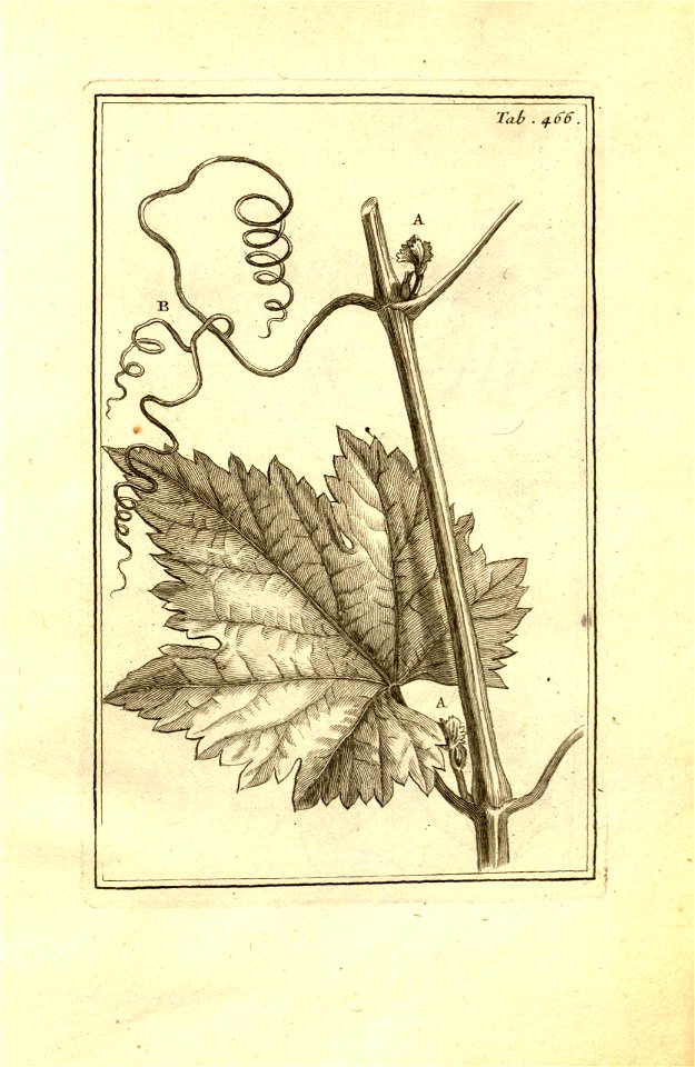 n216_w1150