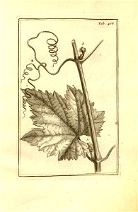 n216_w1150
