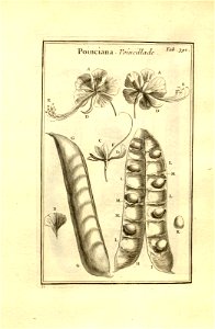 n141_w1150