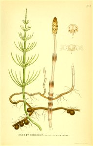 n508_w1150