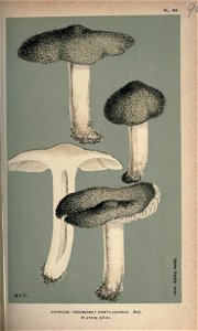 n208_w1150