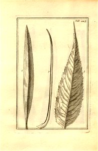 n198_w1150