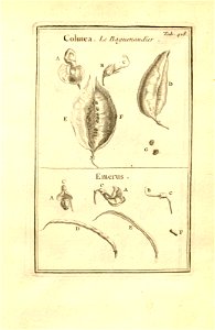n168_w1150