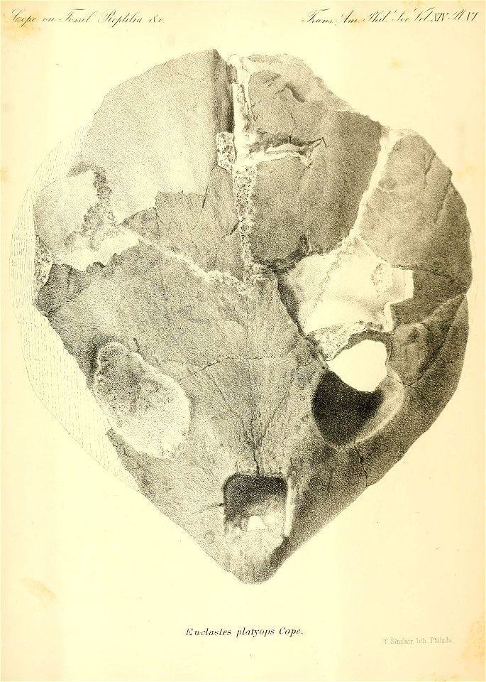 n122_w1150