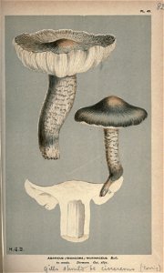 n192_w1150
