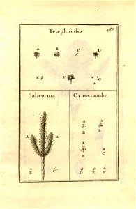 n235_w1150